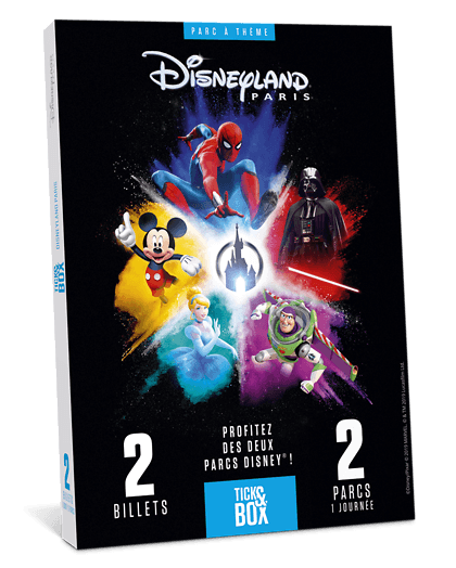 Wonderbox Coffret cadeau - Disneyland Paris 1 jour - 2 parcs - Loisirs