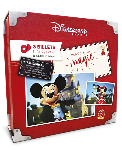 Coffret Cadeau Wonderbox Disneyland Paris en Famille 1 jour / 1 parc - idée, box et coffret cadeau L