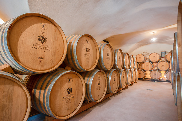 Dégustation de vins - Domaine de Montine au Sud de Montélimar