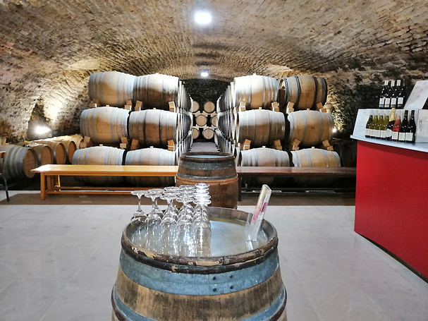 Dégustation de vins - Château de la Greffière proche de Mâcon