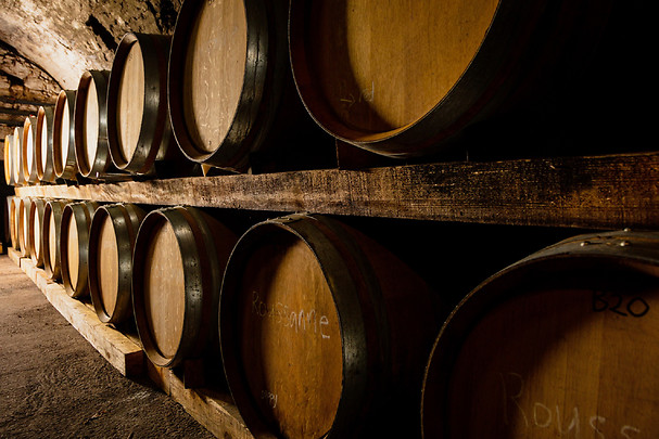 Dégustation de vins - Domaine Terre des 2 Sources au Sud d'Alès
