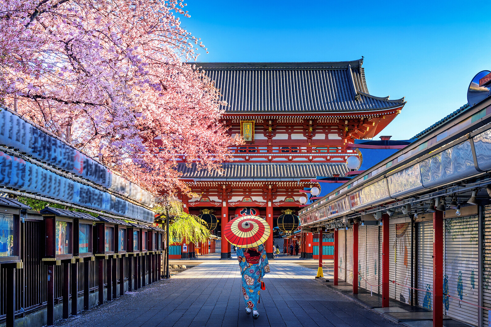 Billede af 3 Dages Ophold I Tokyo - Rejse og Ophold - GO DREAM