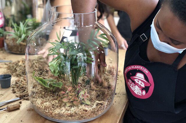 Atelier terrarium à Paris 13ème