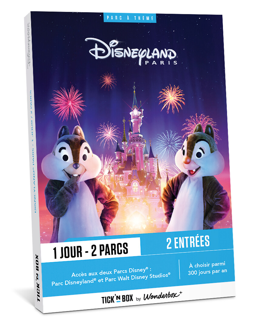 Disneyland Paris 1 jour / 2 parcs