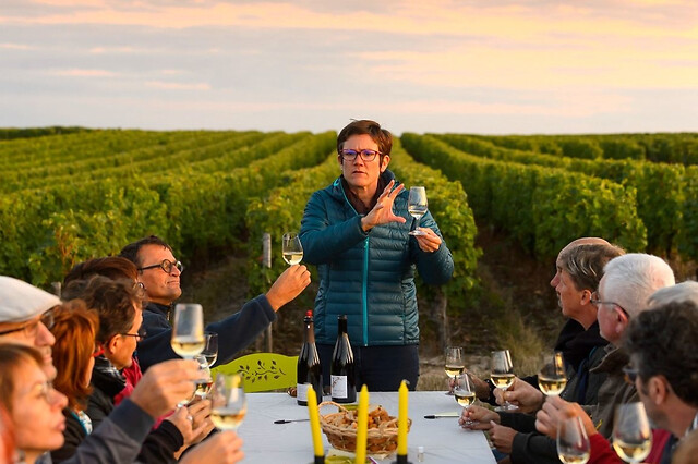 Visite de vignes & dégustations de vins près de Tours (37)