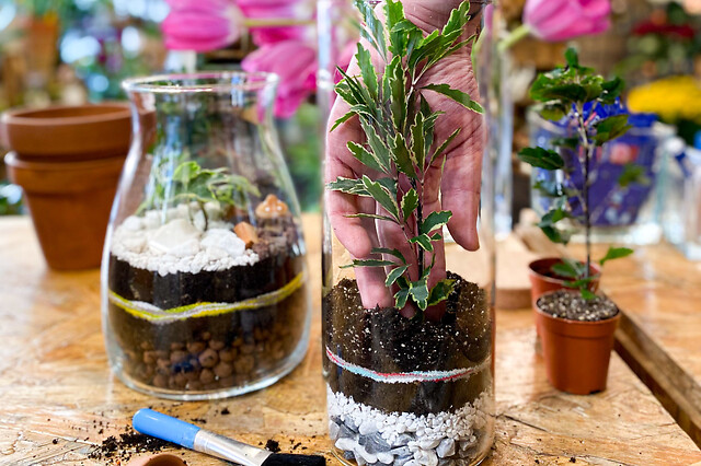 Atelier terrarium à Paris 12ème