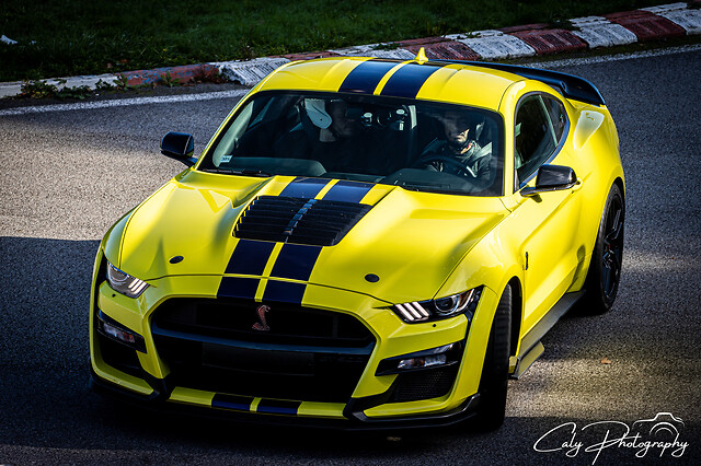 Découverte Ford Mustang Shelby GT500 (3 tours) sur le Stadium Automobile d'Abbeville (80)