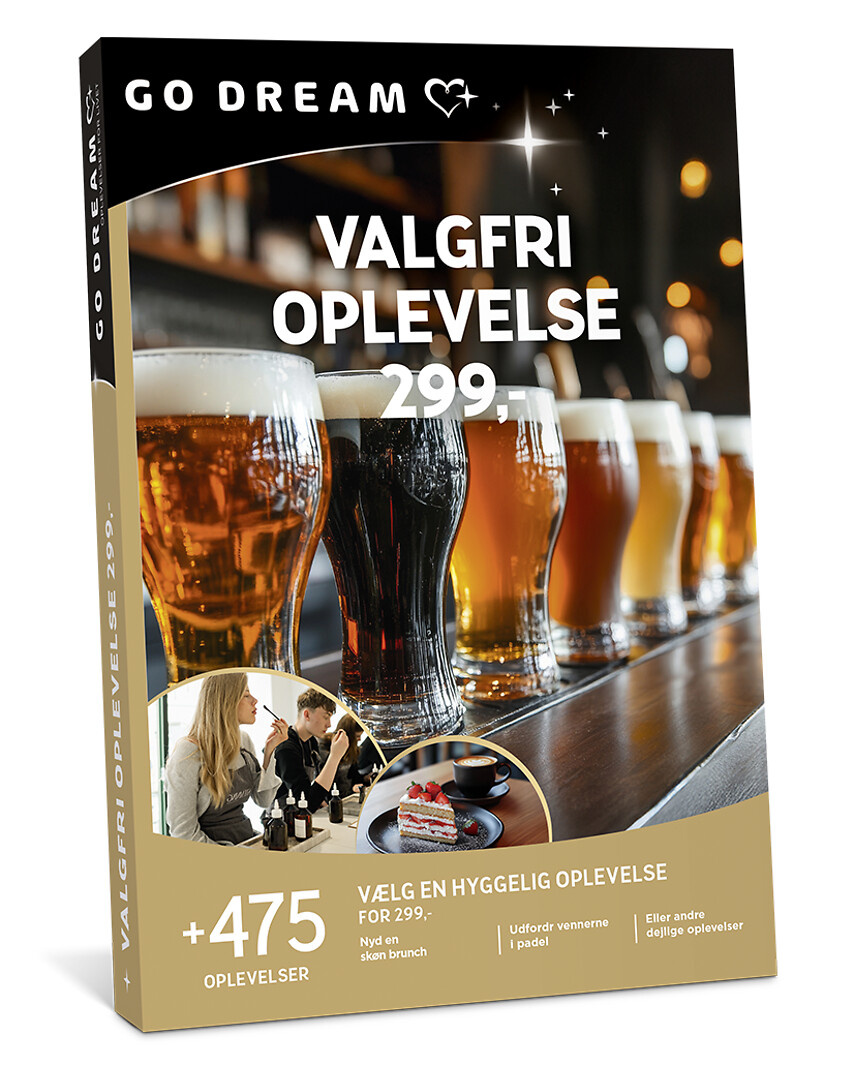 Go Dream VALGFRI OPLEVELSE 299, Oplevelsesgaver, MULTITHEMATIC , Gaveidé