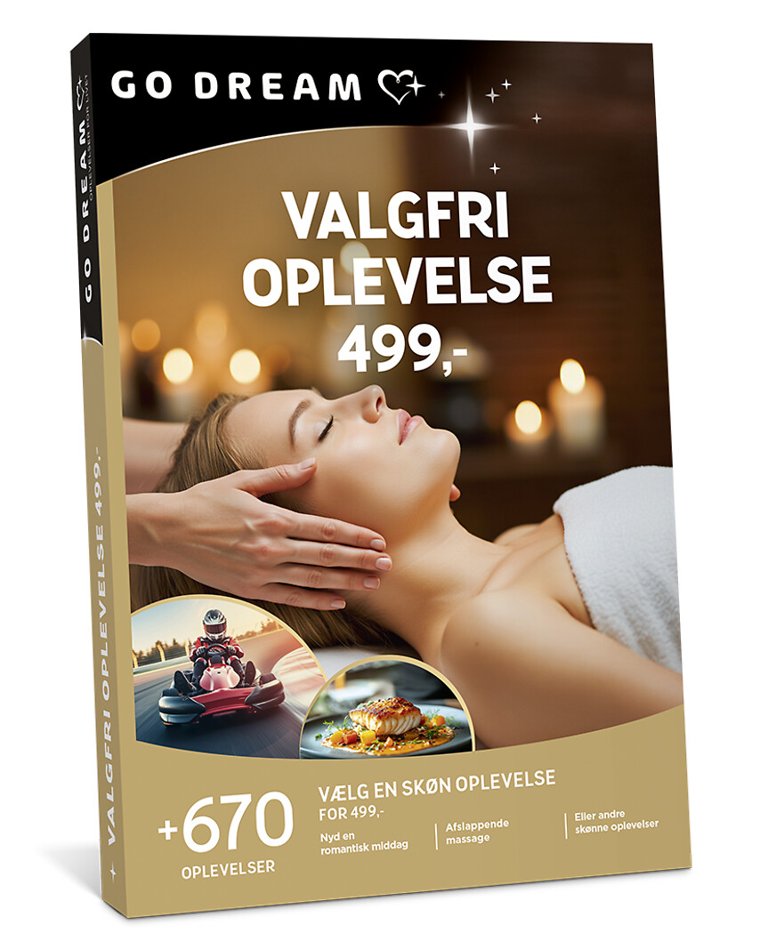 Go Dream VALGFRI OPLEVELSE 499, Oplevelsesgaver, MULTITHEMATIC , Gaveidé