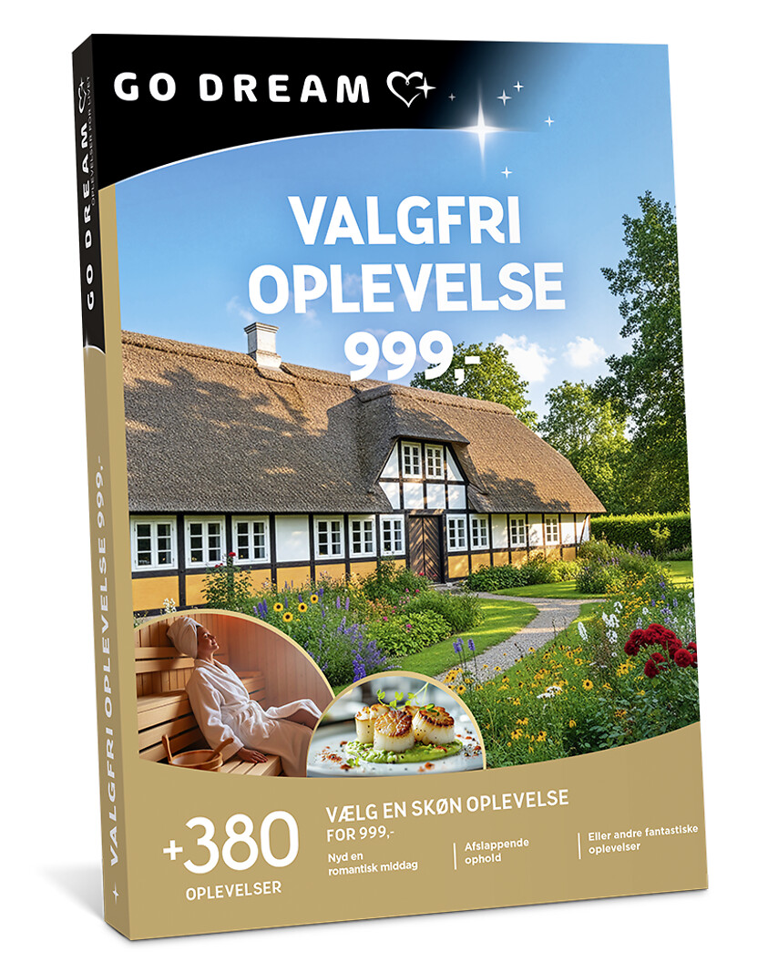 Go Dream VALGFRI OPLEVELSE 999, Oplevelsesgaver, MULTITHEMATIC , Gaveidé