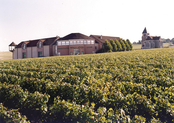 Dégustation de vins - Domaine Jean-Marc Brocard proche de Auxerre