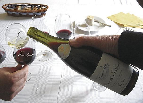 Dégustation de vins - Domaine Brisson au Sud de Mâcon