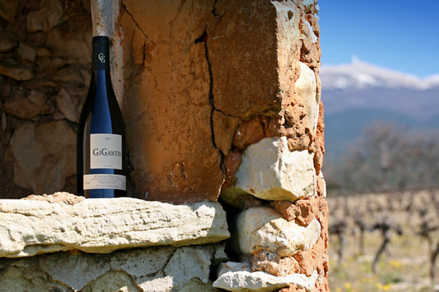 Dégustation de vins - Vignerons du Mont Ventoux proche de Carpentras