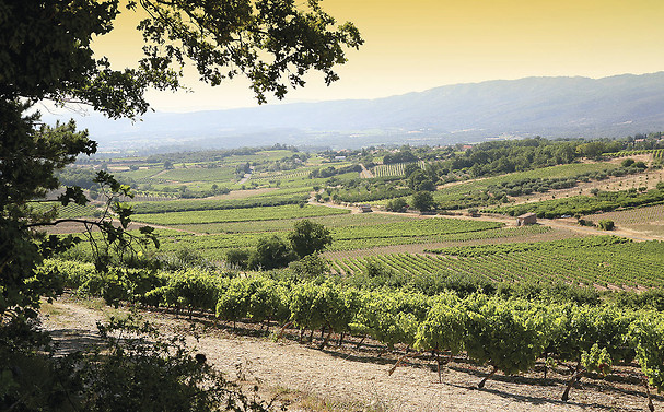 Dégustation de vins - Vignerons du Mont Ventoux proche de Carpentras