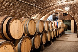 Dégustation de vins - Maison Chanzy proche de Chalon-sur-Saône