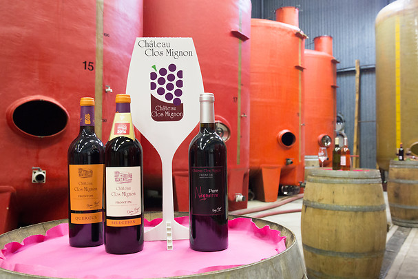 Dégustation de vins - Château Clos Mignon à 40 minutes de Toulouse