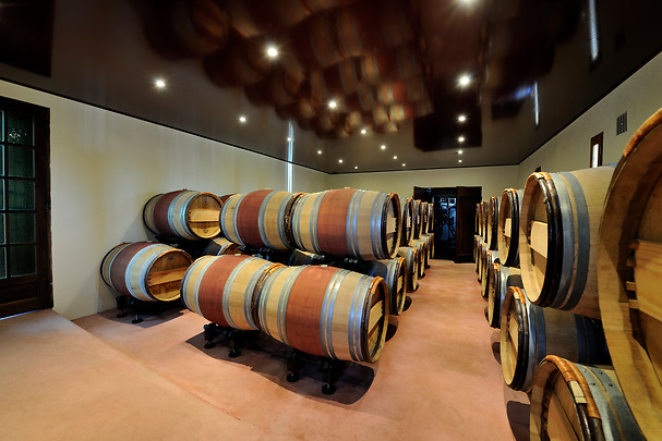 Dégustation de vins - Atelier d’œnologie - Vignobles Alain Chaumet proche de Libourne