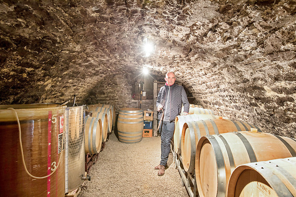Dégustation de vins - Domaine François BERGERET proche de Beaune