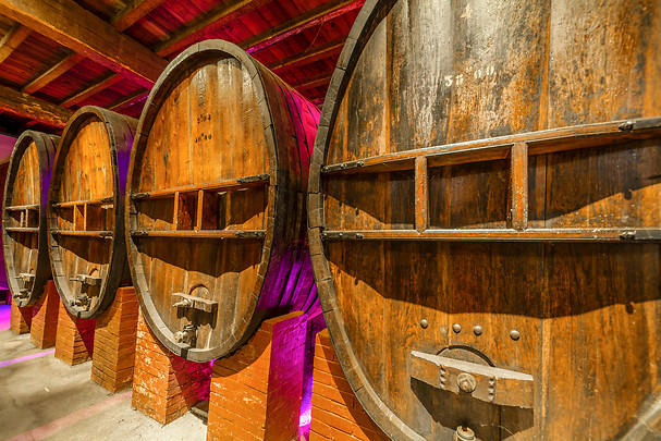 Dégustation de vins - Atelier d’œnologie - Maison Guinot au Sud de Carcassonne