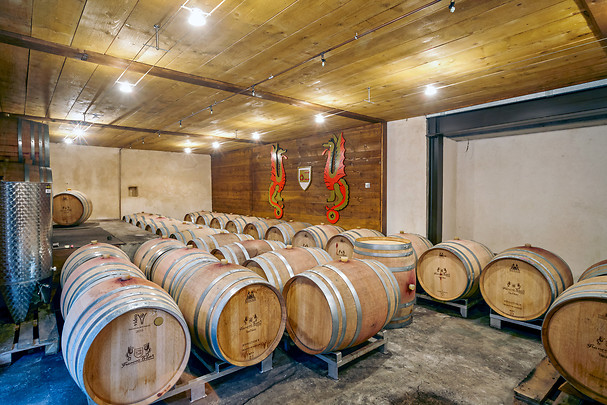 Dégustation de vins - Vignobles François Baur proche de Colmar